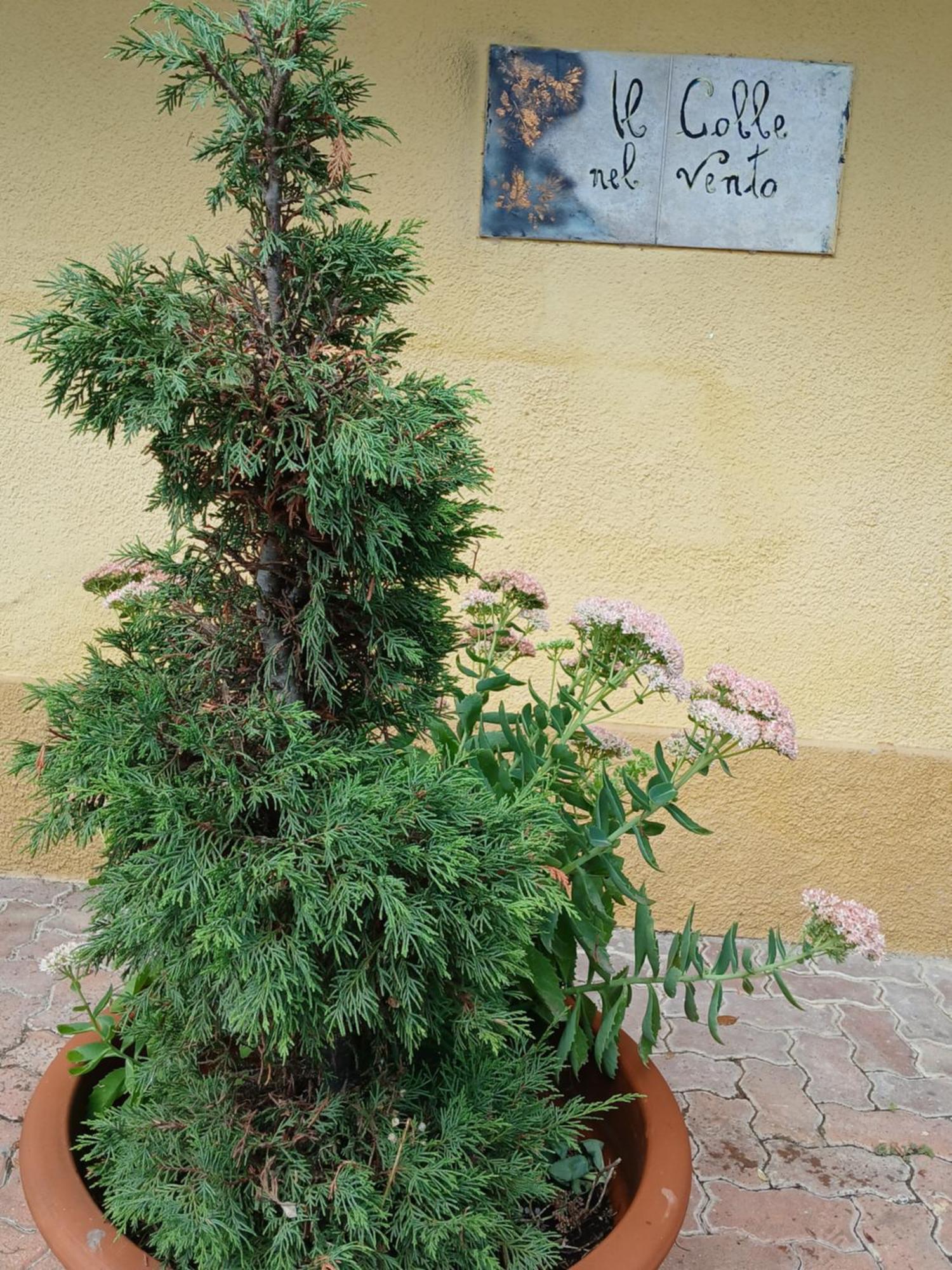 Casa Vacanza Il Colle Del Vento Calosso Zewnętrze zdjęcie