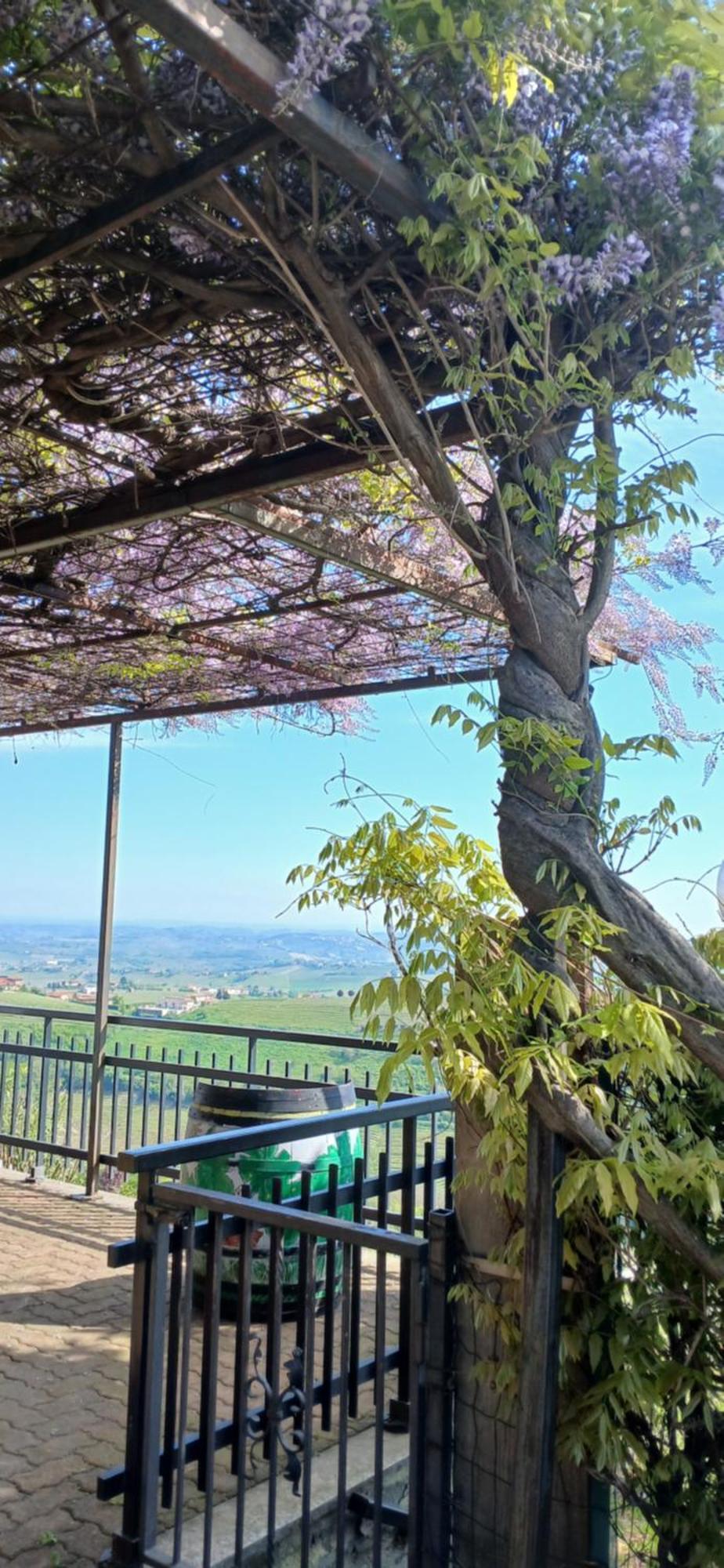 Casa Vacanza Il Colle Del Vento Calosso Zewnętrze zdjęcie